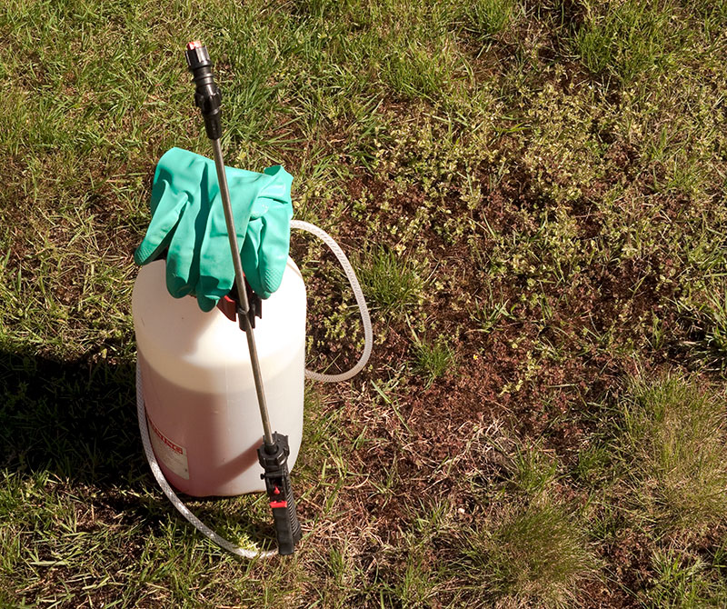 Weed Control Services – Pumps Plus